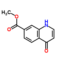 Methyl 4-oxo-1,4-dihydroquinoline-7-carboxylate picture