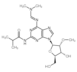 2-amino-n6-(dimethylaminomethylidene)-n2-isobutyryl-2'-o-methyladenosine picture