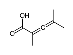 2,4-dimethylpenta-2,3-dienoic acid Structure