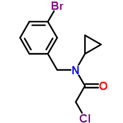 N-(3-Bromobenzyl)-2-chloro-N-cyclopropylacetamide Structure