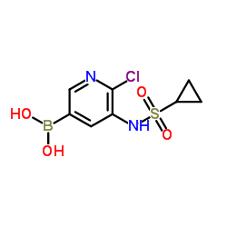 {6-Chloro-5-[(cyclopropylsulfonyl)amino]-3-pyridinyl}boronic acid结构式