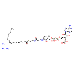 (9Z,12Z-十八碳二烯酰基)辅酶A(铵盐)图片
