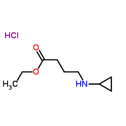 ethyl 4-(cyclopropylamino)butanoate HCl结构式