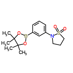 2-(3-(4,4,5,5-Tetramethyl-1,3,2-Dioxaborolan-2-Yl)Phenyl)Isothiazolidine 1,1-Dioxide Structure