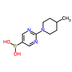 2 –(4-甲基哌啶基)嘧啶- 5 -硼酸结构式