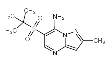 6-tert-butylsulfonyl-2-methylpyrazolo[1,5-a]pyrimidin-7-amine Structure