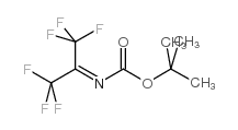 tert-butyl N-(1,1,1,3,3,3-hexafluoropropan-2-ylidene)carbamate结构式