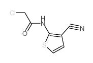 2-CHLORO-N-(3-CYANO-THIOPHEN-2-YL)-ACETAMIDE structure