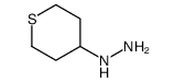 thian-4-ylhydrazine结构式