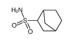 2-Norbornanesulfonamide(7CI,8CI) structure