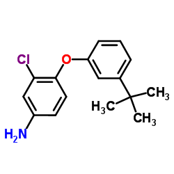 3-Chloro-4-[3-(2-methyl-2-propanyl)phenoxy]aniline结构式