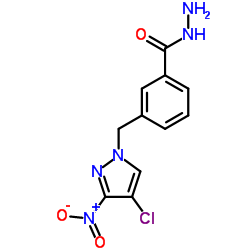 3-(4-CHLORO-3-NITRO-PYRAZOL-1-YLMETHYL)-BENZOIC ACID HYDRAZIDE picture