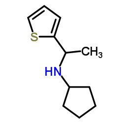 N-[1-(2-Thienyl)ethyl]cyclopentanamine Structure