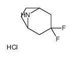 (1S,5R)-3,3-difluoro-8-azabicyclo[3.2.1]octane,hydrochloride Structure