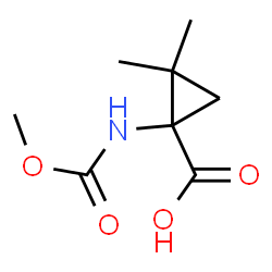 Cyclopropanecarboxylic acid, 1-[(methoxycarbonyl)amino]-2,2-dimethyl- (9CI) picture