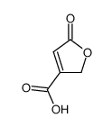 5-oxo-2,5-dihydrofuran-3-carboxylic acid Structure