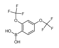 2,4-bis(trifluoromethoxy)phenylboronic acid Structure
