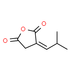 2,5-Furandione, dihydro-3-(2-methylpropylidene)-, (3Z)- (9CI) picture
