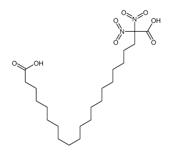 2,2-dinitrodocosanedioic acid Structure