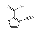 3-氰基-1H-吡咯-2-羧酸结构式