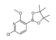 6-氯-2-甲氧基-3-(4,4,5,5-四甲基-1,3,2-二噁硼烷-2-基)-吡啶结构式