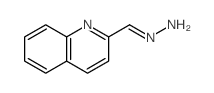 2-Quinolinecarboxaldehyde,hydrazone Structure