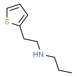 propyl[2-(thiophen-2-yl)ethyl]amine Structure