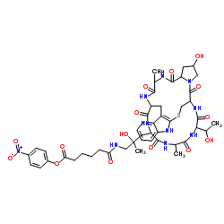 4-Nitrophenyl 6-({2-hydroxy-3-[18-hydroxy-34-(1-hydroxyethyl)-23,31-dimethyl-15,21,24,26,29,32,35-heptaoxo-12-thia-10,16,22,25,27,30,33,36-octaazapentacyclo[12.11.11.03,11.04,9.016,20]hexatriaconta-3(11),4,6,8-tetraen-28-yl]-2-methylpropyl}amino)-6-oxohexanoate结构式