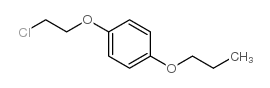 1-(2-chloroethoxy)-4-propoxybenzene结构式