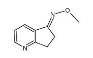 6,7-dihydro-[1]pyrindin-5-one O-methyl-oxime Structure