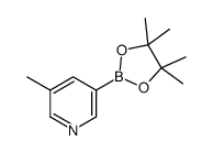 3-Picoline-5-boronic acid pinacolate picture