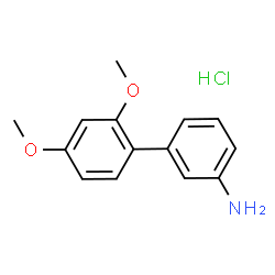 2',4'-DIMETHOXY-BIPHENYL-3-YLAMINE HYDROCHLORIDE picture