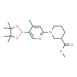 Methyl 1-(4-Methyl-5-(4,4,5,5-tetramethyl-1,3,2-dioxaborolan-2-yl)pyridin-2-yl)piperidine-3-carboxylate picture