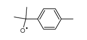 (4-methylcumyl)oxy radical Structure