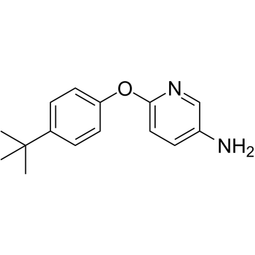 6-[4-(叔丁基)苯氧基]吡啶-3-胺图片