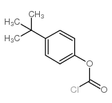 p-tert-butylphenyl chloroformate结构式