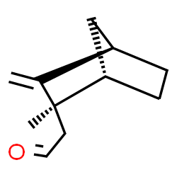 exo-Norbicycloekasantalal structure