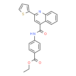 ethyl 4-{[(2-thien-2-ylquinolin-4-yl)carbonyl]amino}benzoate picture