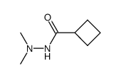Cyclobutanecarboxylic acid, 2,2-dimethylhydrazide (9CI) structure