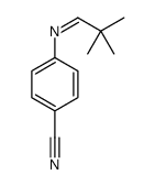 4-(2,2-dimethylpropylideneamino)benzonitrile结构式