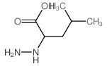 2-hydrazinyl-4-methyl-pentanoic acid structure