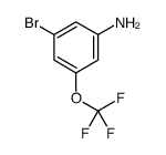 3-BROMO-5-(TRIFLUOROMETHOXY)BENZENAMINE picture