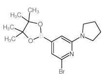 2-Bromo-6-(pyrrolidin-1-yl)-4-(4,4,5,5-tetramethyl-1,3,2-dioxaborolan-2-yl)pyridine picture