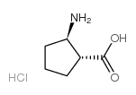 (1R,2R)-2-Aminocyclopetanecarboxylic acid hydrochloride picture