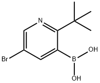 5-Bromo-2-(tert-butyl)pyridine-3-boronic acid结构式