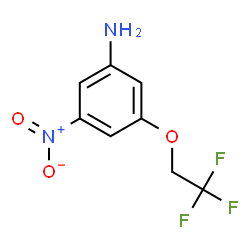 3-NITRO-5-(2,2,2-TRIFLUORO-ETHOXY)PHENYLAMINE图片