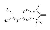 5-CHLOROACETAMIDO-2-METHYLENE-1,3,3-TRIMETHYLINDOLINE Structure
