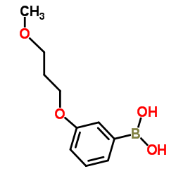 (3-(3-甲氧基丙氧基)苯基)硼酸结构式