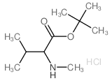 tert-butyl 3-methyl-2-methylamino-butanoate structure