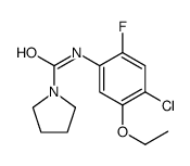 N-(4-chloro-5-ethoxy-2-fluorophenyl)pyrrolidine-1-carboxamide结构式